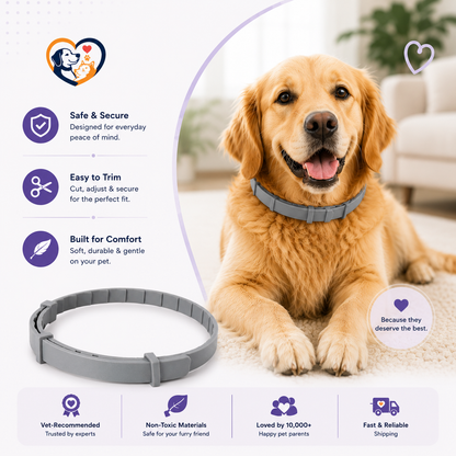 Pawzlex Collar [ FREE TODAY ]