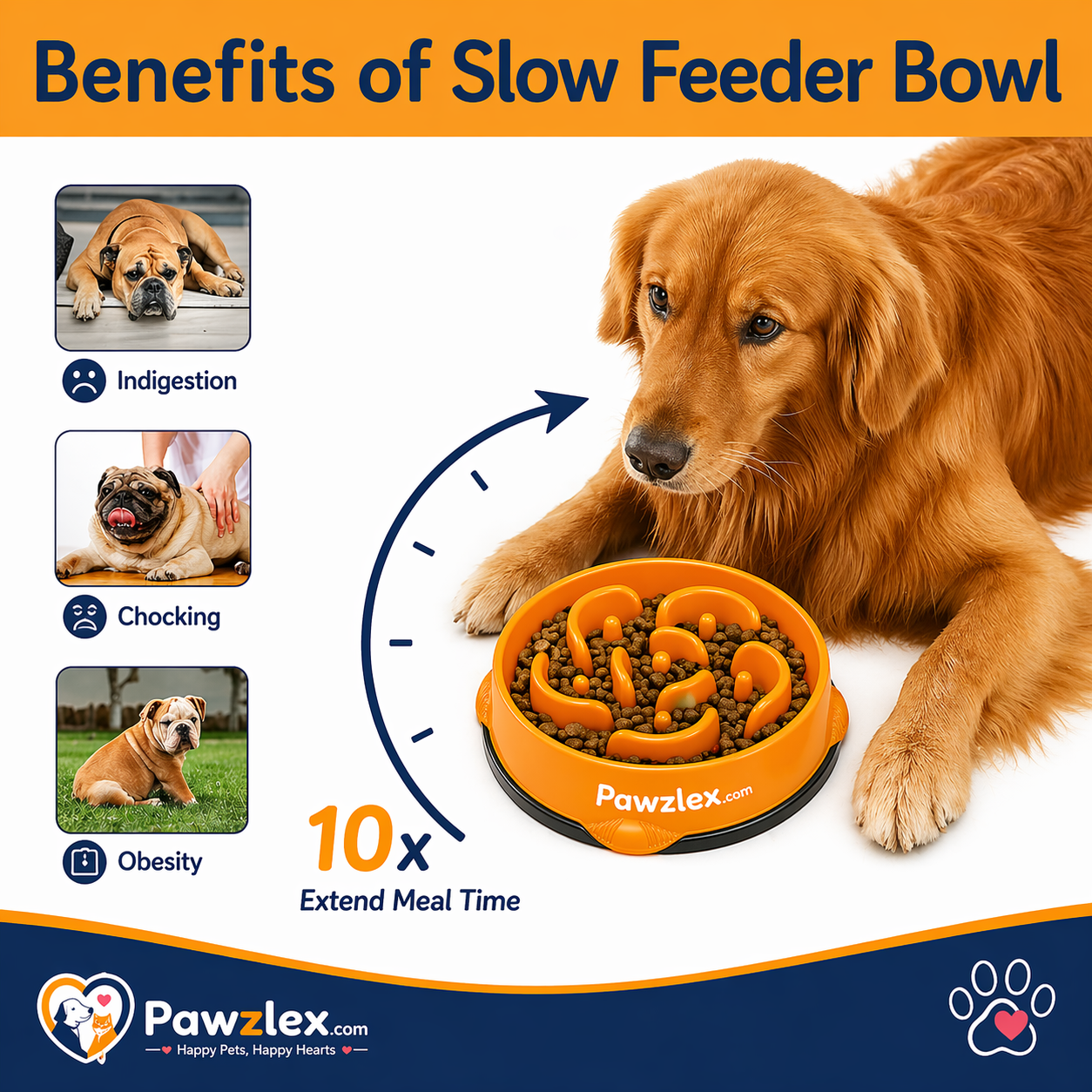 Anti-Choke Slow Feeder for dog