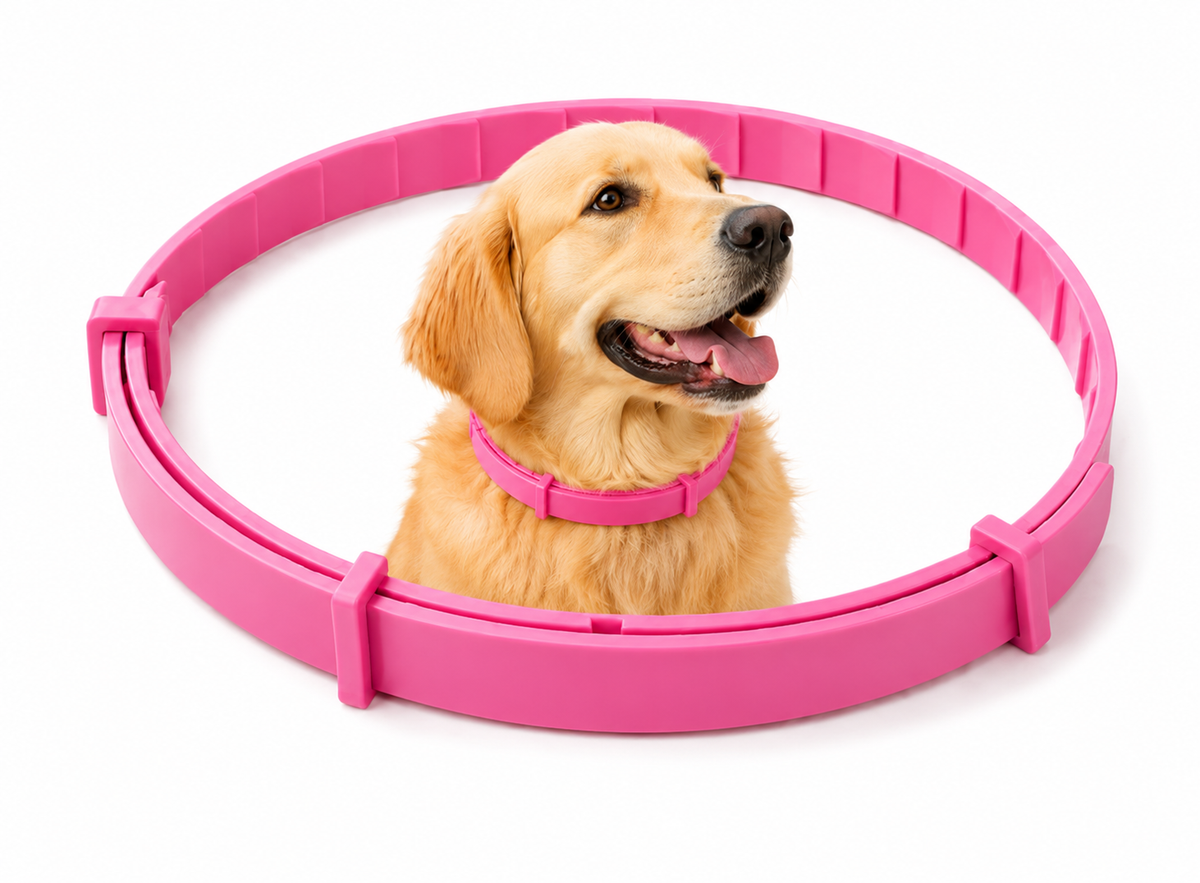 Pawzlex Pemium Collar