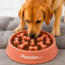 Anti-Choke Slow Feeder for dog