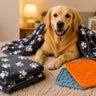Happy Dog Kit