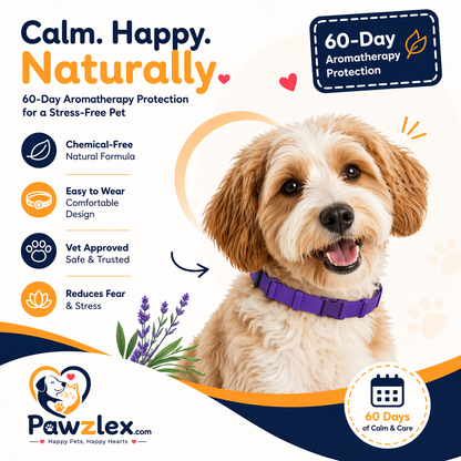 Pawzlex Pemium Collar