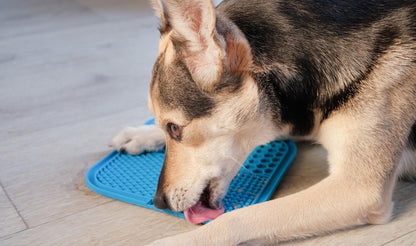 Anxiety Relief Lick Mat