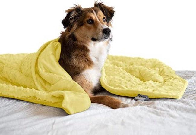 Anti-Anxiety Comfort Blankets
