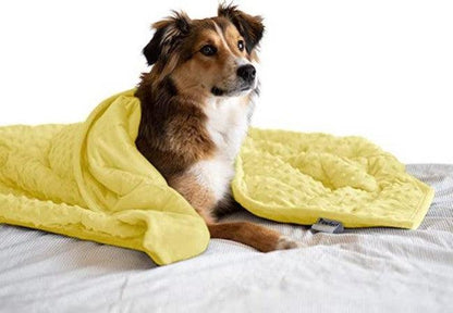 Anti-Anxiety Comfort Blankets