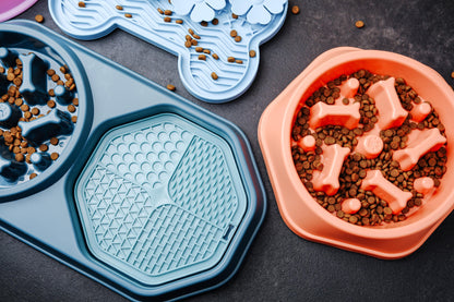 Anti-Choke Slow Feeder for dog