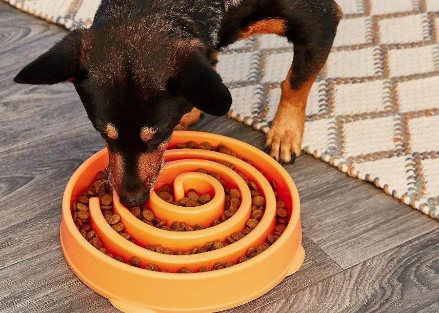 Anti-Choke Slow Feeder for dog