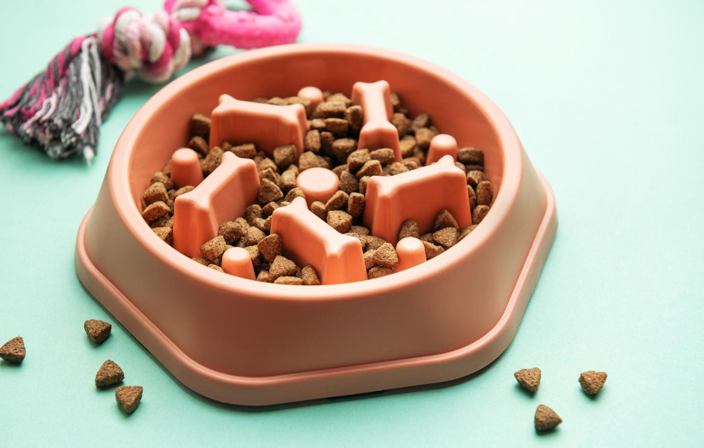 Anti-Choke Slow Feeder for dog