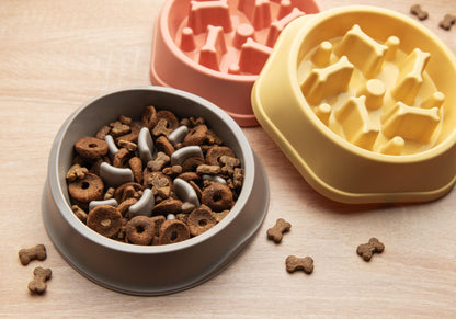 Anti-Choke Slow Feeder for dog