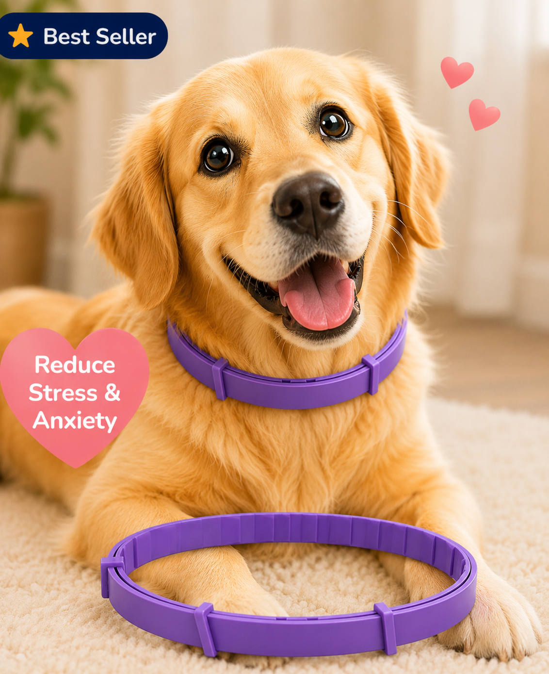 Pawzlex Pemium Collar