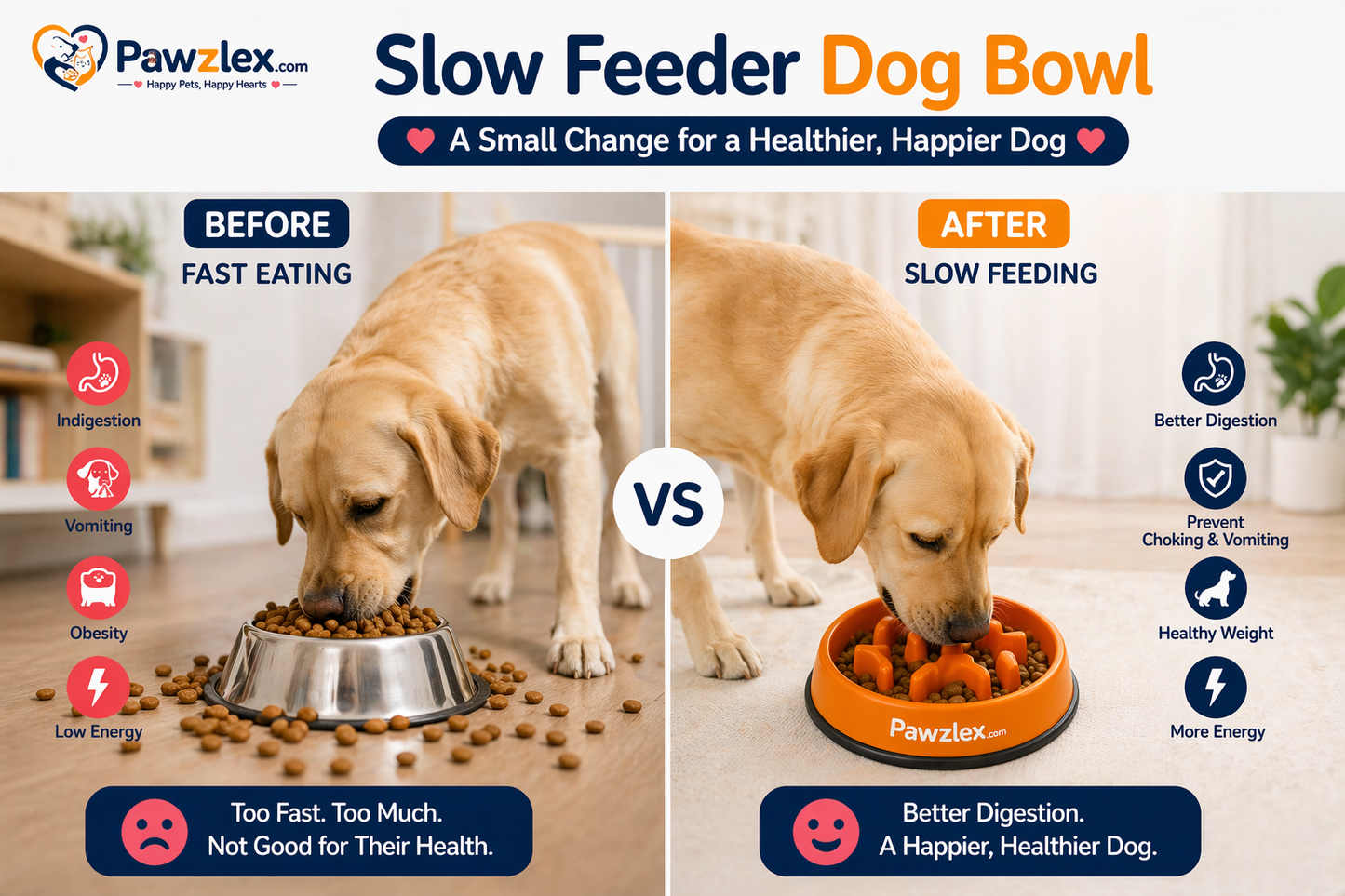 Anti-Choke Slow Feeder for dog