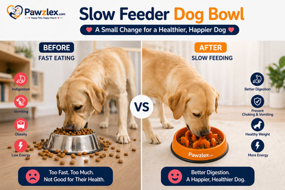 Anti-Choke Slow Feeder for dog