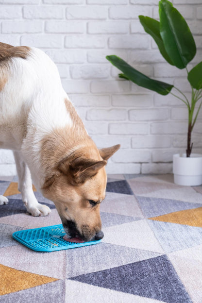 Anxiety Relief Lick Mat