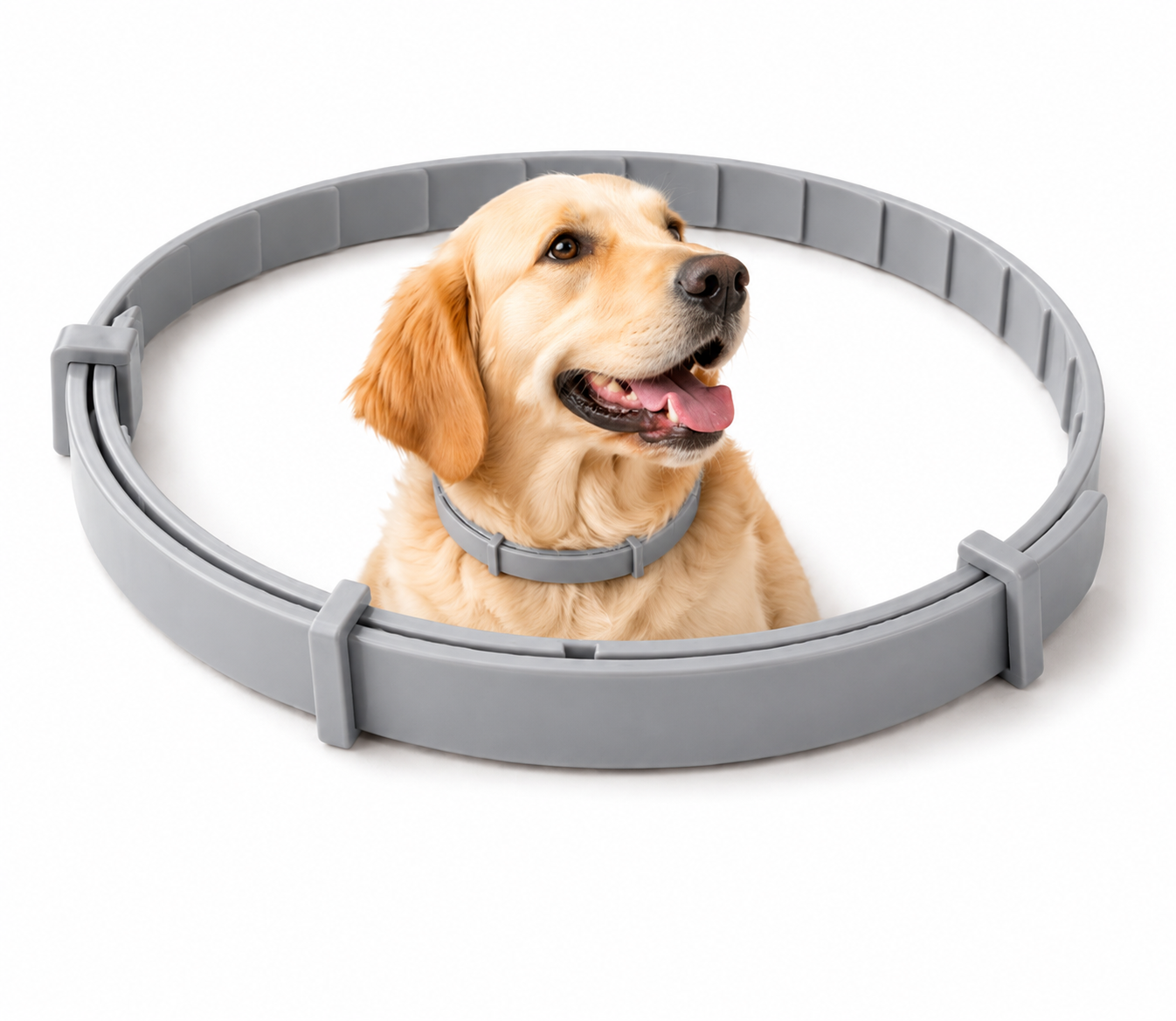 Pawzlex Collar [ Free Today ]