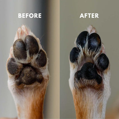 Paw Cleaner