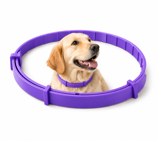 Pawzlex Collar [ Free Today ]